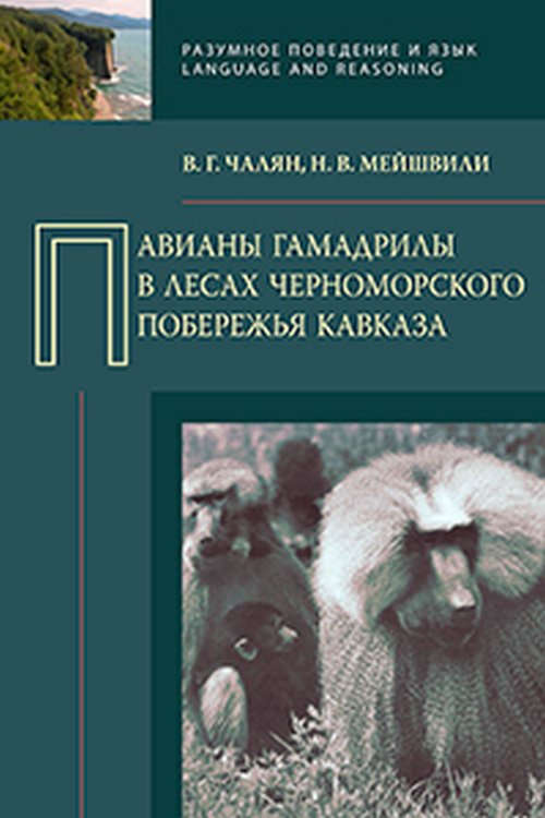 Павианы гамадрилы в лесах Черноморского побережья Кавказа
