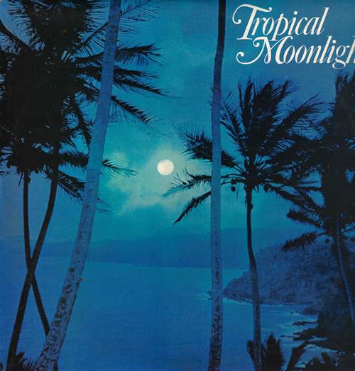 Tropical Moonlight