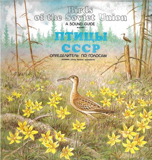 Птицы СССР. Определитель по голосам. Кулики: улиты, бекасы, кроншнепы