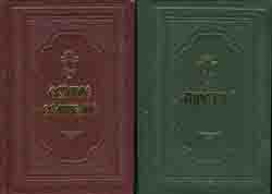 Святое Евангелие и Апостол на русском языке в 2-х томах