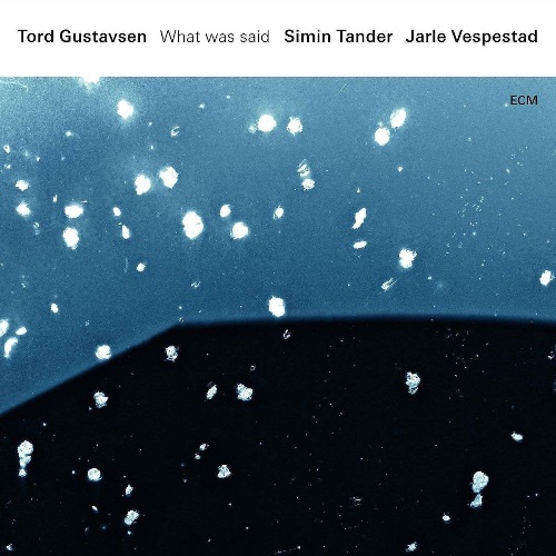 Gustavsen, Tord - What Was Said / Торд Густавсена - What Was Said (2 пластинки)